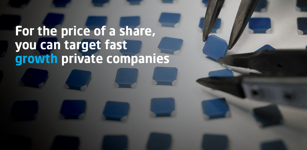 For the price of a share, you can target fast growth private companies